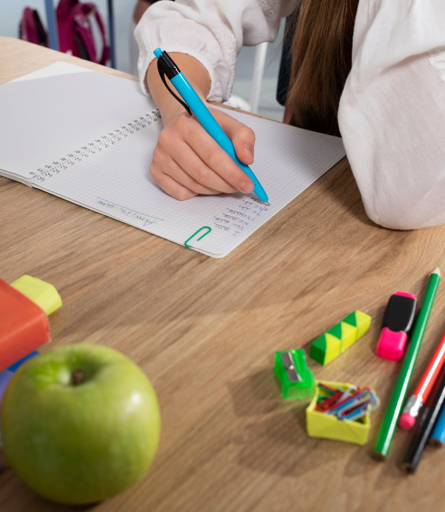 Refuerzo escolar para Primaria | DLR