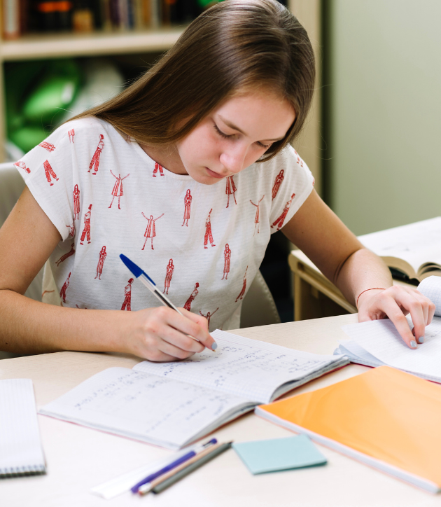 Clases particulares para Secundaria | Academia DLR